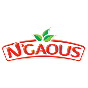 N'GAOUS